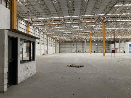 Imagen 7 de 27 de Depósito 6.000m2 - Rosario