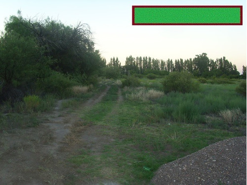 Imagen 7 de 11 de Finca 6,6ha Turistica Y Productiva Con Casa Sobre Ruta Nacional 188 Camino A Las Leñas Dueño Vende Permuta Chacra Buena Tierra Con Riego