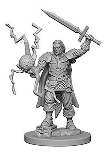 Pathfinder Cortes Profundos Sin Pintar Miniaturas: Clérigo H