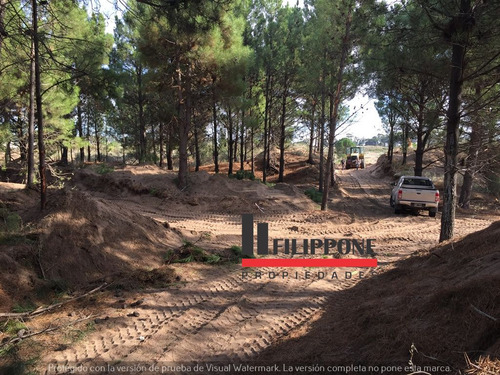 Lotes En Venta Reserva Darwin!! Balneario Pehuen Co