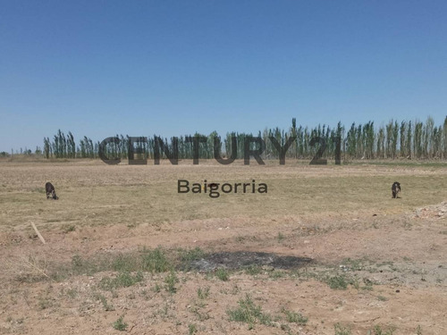 Imagen 4 de 9 de Finca En Venta - Lavalle - Mendoza Id: 46538