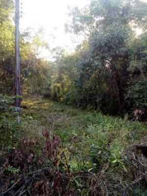Imagem 6 de 10 de Terreno A 500 Metros Do Rio Em Itanhaém - 6462