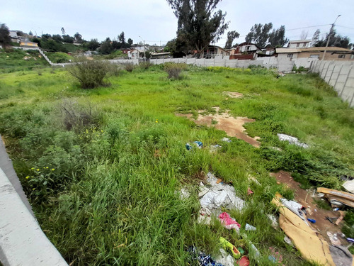 Terreno Con 11 Lotes Con Roles Propios (100748)