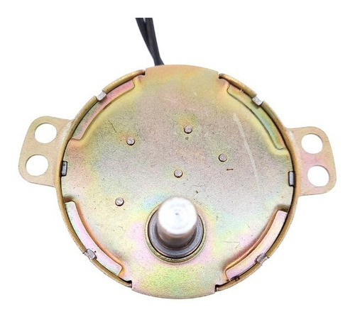 Imagen 6 de 6 de Motor 220v Giratorio Spiedo 5/6 Rpm 4w