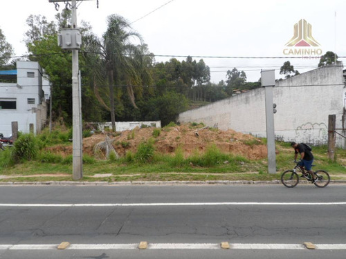 Imagem 10 de 12 de Terreno Residencial À Venda, Agronomia, Porto Alegre. - Te0069