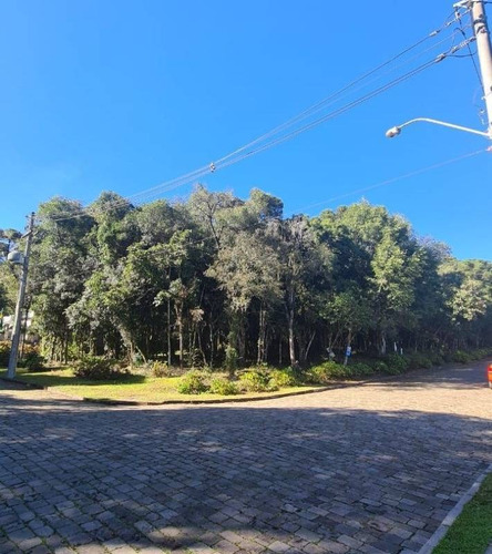 Imagem 1 de 3 de Terreno - Ana Rech - Ref: 8475 - V-8475