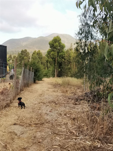 Parcela En Venta En Bosque De Mantagua Concon