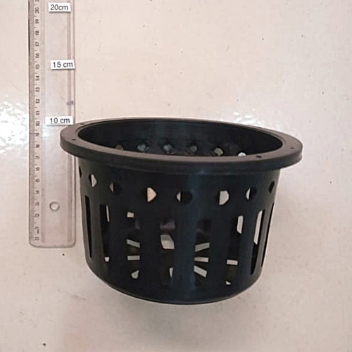 5 Vasos Vazado Preto Orquídea Vanda Stanhopea 15cm