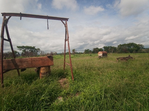 Imagen 12 de 15 de Finca En Tinaquillo. Sof001. Lsl