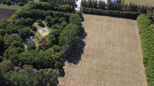 Imagen 2 de 5 de Lote Y Terrenos De 1000m2 Con Escritura Metros R6! Cañuelas
