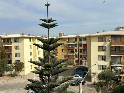 Departamento En Arica, Condiciones Especiales