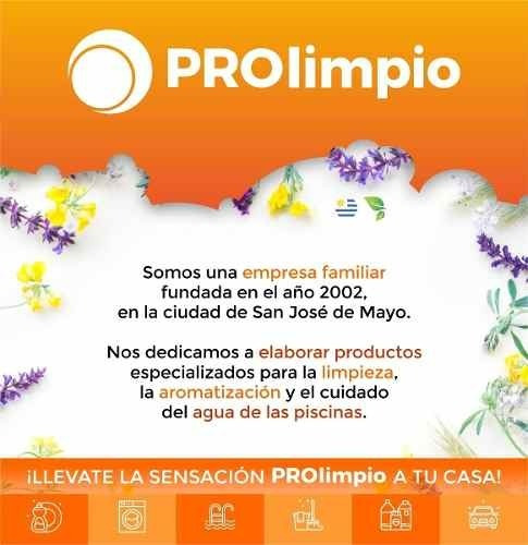 Imagen 3 de 4 de Perfumador Liquido Para Telas De Cítricos 1lt - Prolimpio