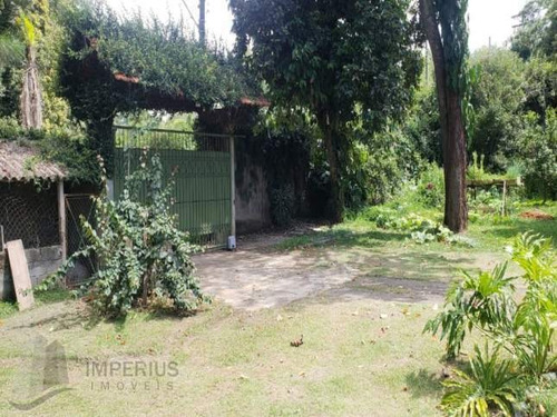 Imagem 8 de 8 de Vende-se Rural Chácara - 3808