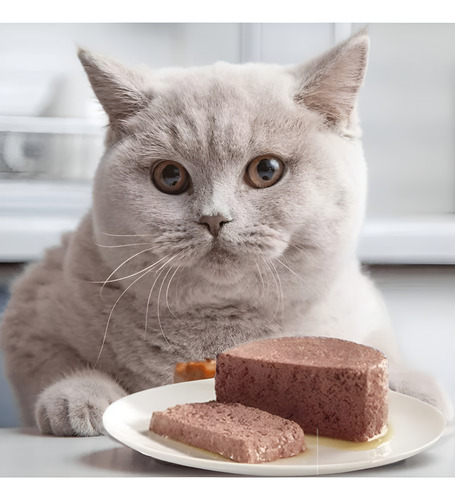 Alimento Gato Felix Pate De Salmon Lata 156g Pack 24un