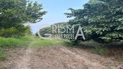 Terreno en venta
