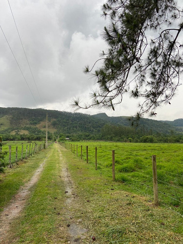 Imagem 8 de 14 de S01- Vendo Terreno Com Documentação Ok
