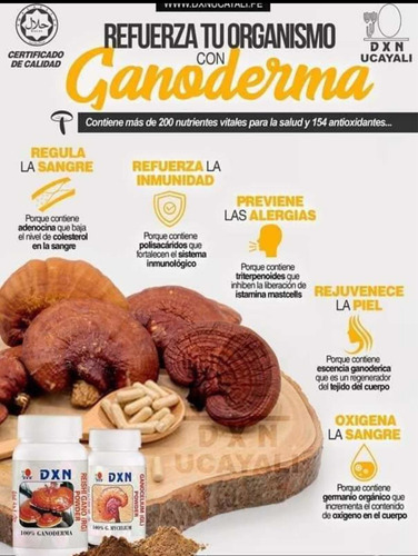 Café Orgánico ... Ganoterapia Ganoderma Lucidum Linzhi Café