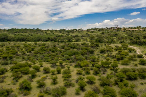 Terreno Rancho Nuevo