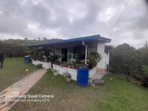 Linda Casa Finca En Venta Sector Belén En Ríonegro Antioquia