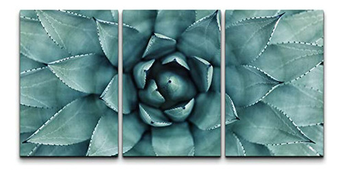 Cuadro De 3 Piezas - Hojas De Agave Puntiagudas - Arte Moder