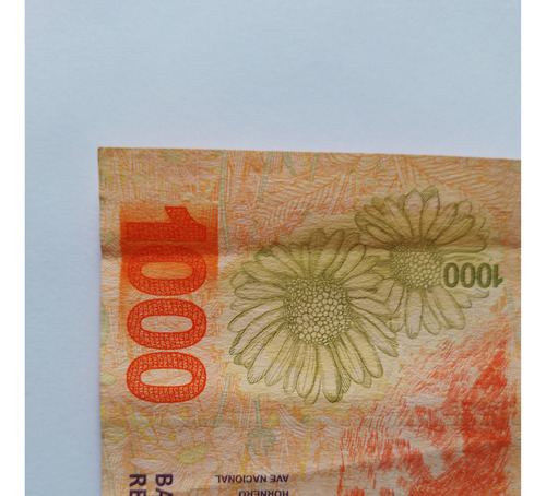 Billete Error Falla Mancha Tinta 1000 Pesos Hornero Y (Usado)