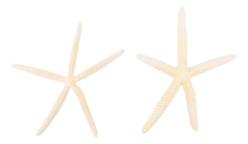 Decoración Artesanal Natural Con Forma De Estrella De Mar Co