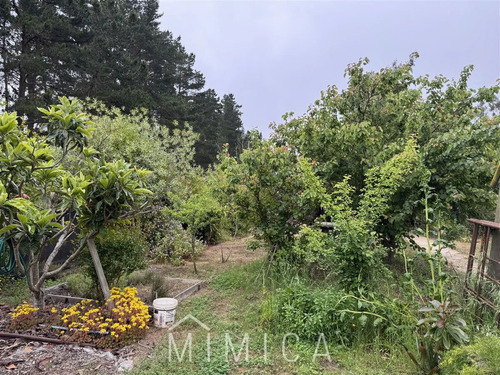 Vende Mimica Propiedades Algarrobo.
