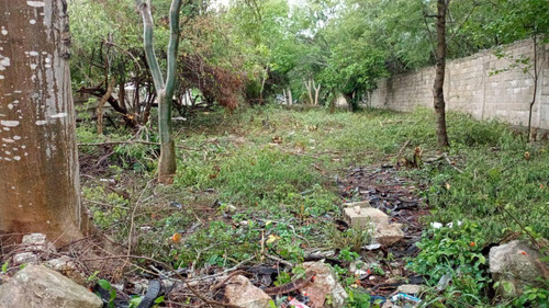 Terreno De 1,288 M2 En Conkal, Merida, Yucatan