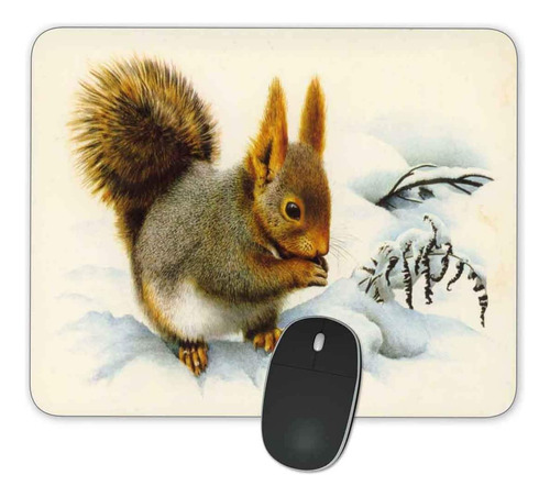 Gaming Mousepad Qj Cmj 9.45 X 7.9 Ardilla Nieve