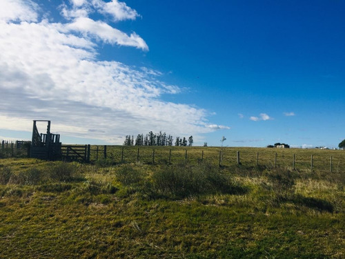 Vendo Campo Sobre Ruta 39 A 20 Minutos De Punta Del Este
