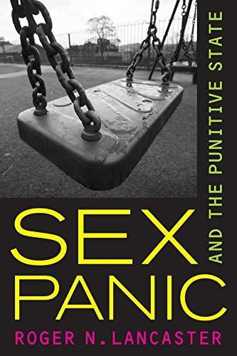 Libro Sex Panic And The Punitive State Nuevo