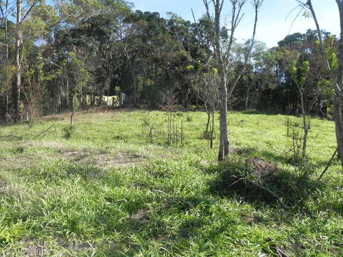 (sc) Ideal Para Construir Sua Casa No Campo! Preços Baixos!