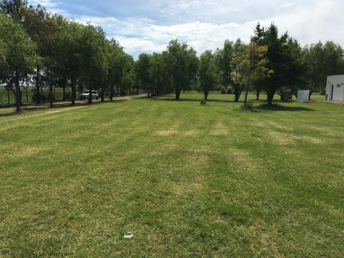 Imagen 2 de 14 de Terreno En Venta En Posadas De Los Lagos