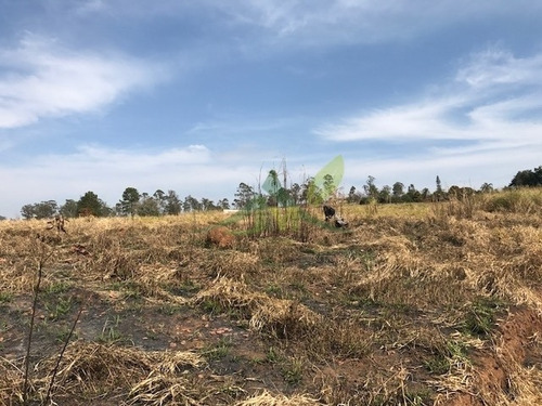 Imagem 10 de 11 de Área Industrial Em Atibaia 80 Mil M ² Oportunidade! - 667