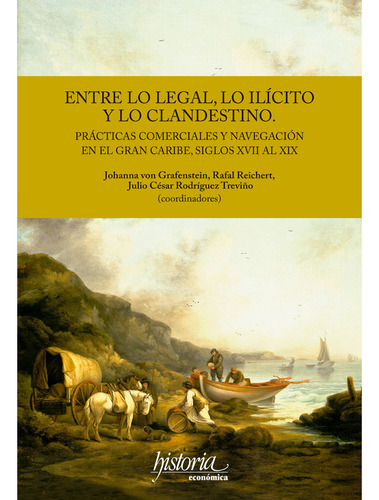 Entre Lo Legal, Lo Ilícito Y Lo Clandestino (libro Original)