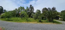 Comprar Encantadora Parcela De Agrado,casa Sólida Y Árboles Frutales
