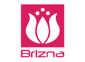 Brizna