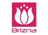 Brizna