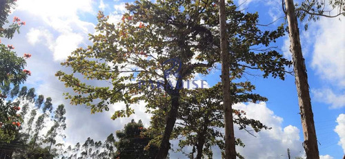 Imagem 30 de 30 de Fazenda Em Itabuna, Frente Para Br 101-160 Ha- R$ 10.000.000,00 - V65800