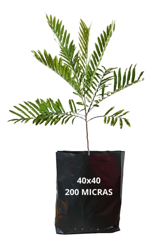 Saco Saquinho Para Mudas Plástico Preto 40x40cm 50 Unidades