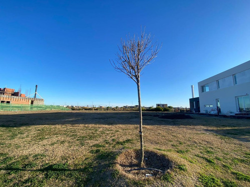 Imagen 6 de 6 de Lote En Venta Puertos Barrio Costa Al Lago