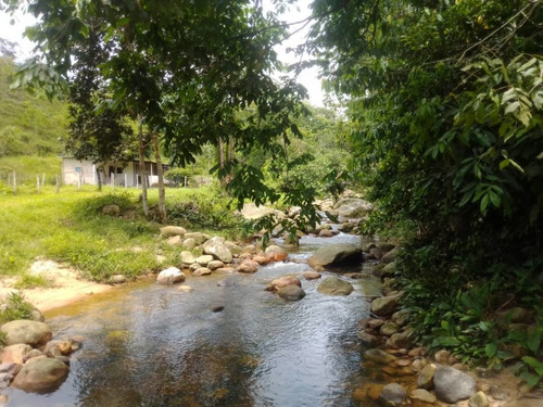 Imagen 11 de 23 de Cf. Se Vende Finca En La Fría, Cerca De La Termoeléctrica