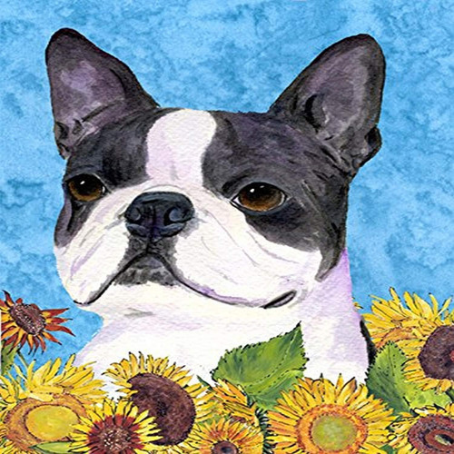 Carolines Treasures Ss4149gf Boston Terrier En Verano Flores