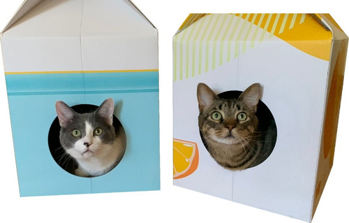 Imagen 4 de 5 de Cajita Para Gatos Con Rascador Incluido Y Hierba Gatera
