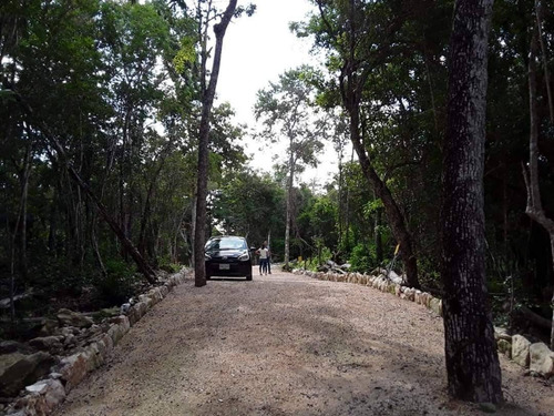 Imagen 5 de 6 de Terreno En Venta En Aldea Coral