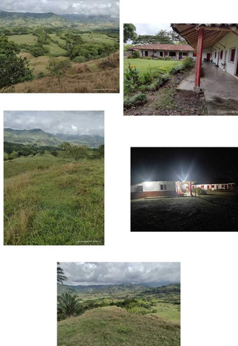 Se Vende Finca Pueblo Tapao Quindío