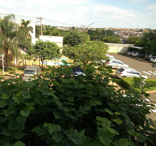 Imagem 8 de 8 de Apartamento À Venda No Bairro Jardim Caparroz - São José Do Rio Preto/sp - 2021548