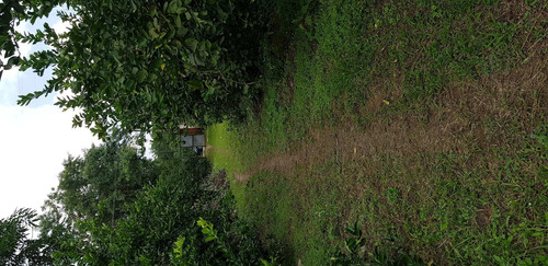 Imagem 28 de 30 de Chácara Em Parque Capivari, Duque De Caxias/rj De 100000m² 2 Quartos À Venda Por R$ 500.000,00 - Ch596274-s