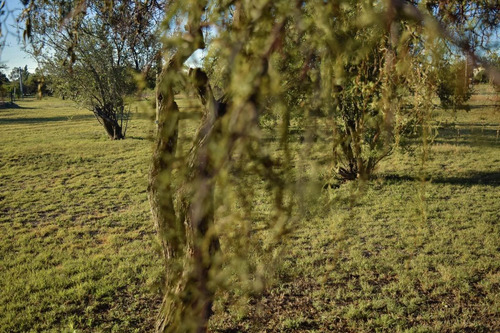 Lote De 1000m2 En Barrio ¨campo De Maie¨