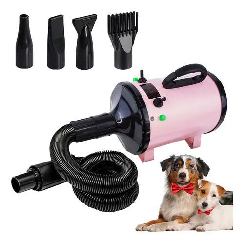 Secadoras para estetica canina new arrivals